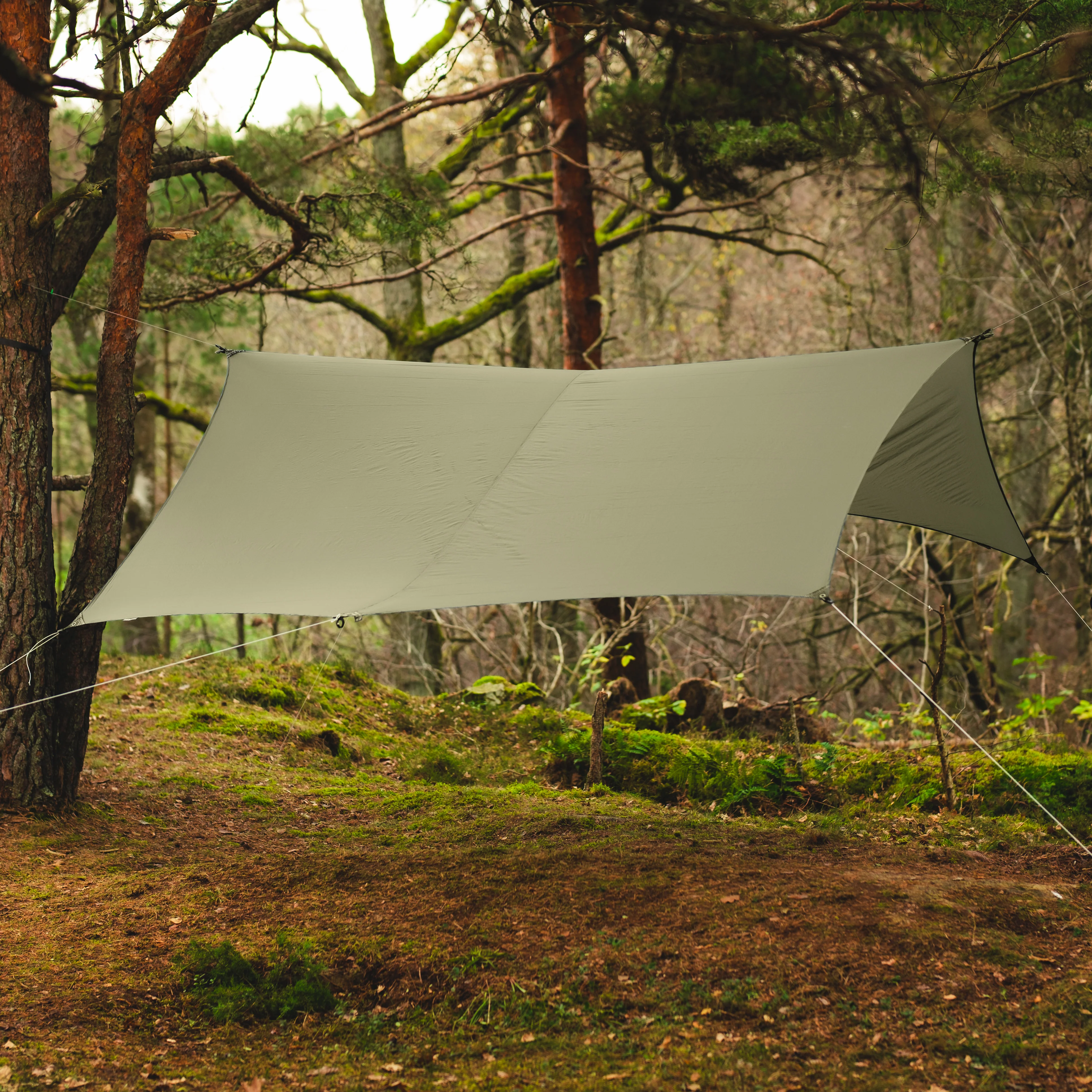 Skjold tarps - dark green